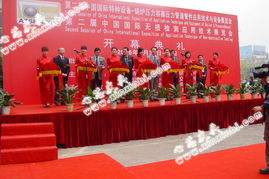 婚慶與慶典禮儀 締造完美時刻的藝術