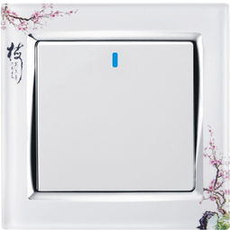 供應家裝墻壁開關(guān)插座，打造安全便捷生活空間